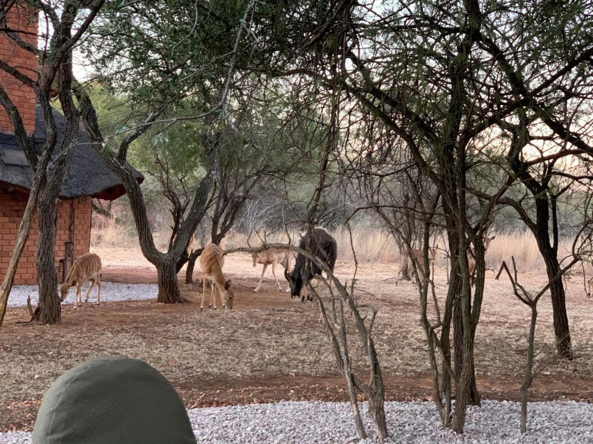 Makhato Bush Lodge 3 Bela-Bela Εξωτερικό φωτογραφία